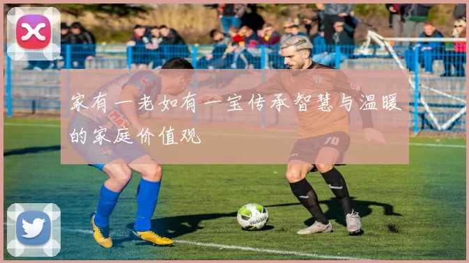 家有一老如有一宝传承智慧与温暖的家庭价值观