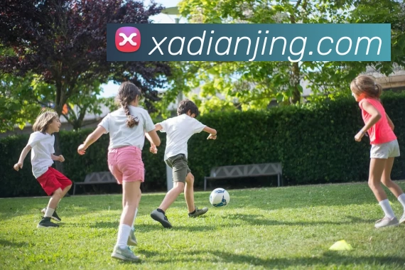 小艾电竞平台生态图